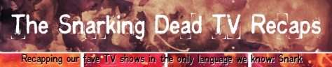 The Snarking Dead TV Recaps banner